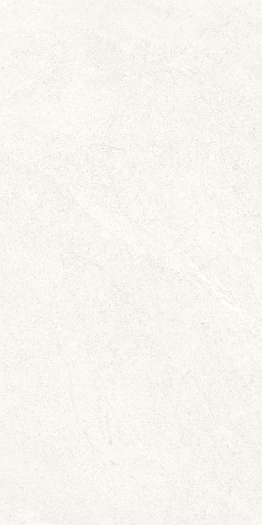 Dhara White Matte 12 x 24